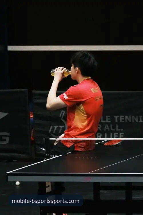 bsports快速下载安卓版 宁忠岩破纪录夺金背后:BSports手机版观赛体验深度解析